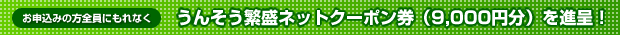 񂻂ɐlbgN[|i